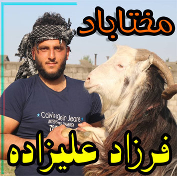 فرزاد علیزاده مختاباد